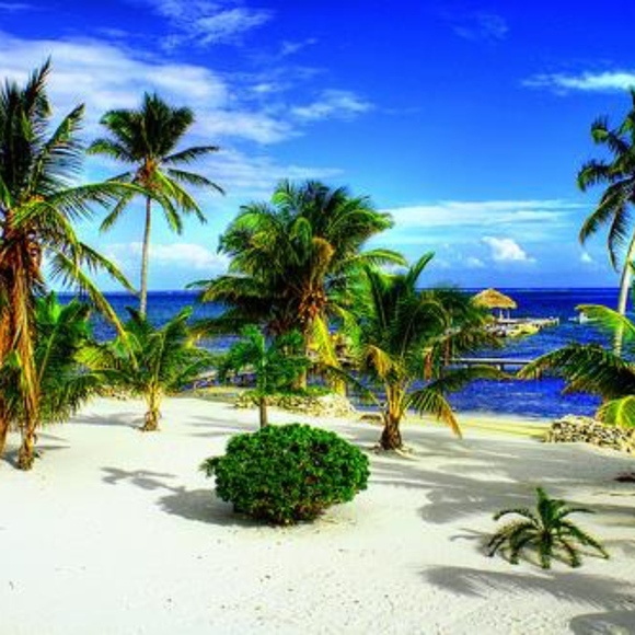 Meet your Posher, Leslie - Picture 1 of 1